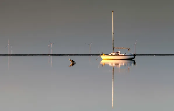 The sky, bird, boat, morning, yacht, tide, harbour, windmill