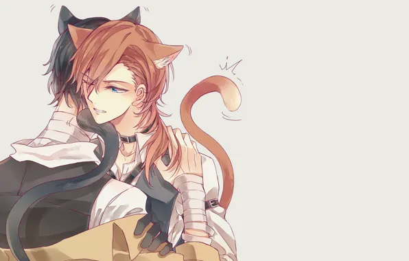 Picture cat, anime, guy, neko, Bungou Stray Dogs, Stray Dogs: A Literary Genius