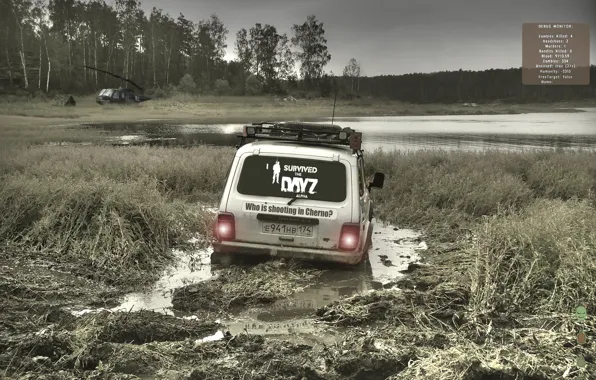 Forest, dirt, Niva, dayz fans