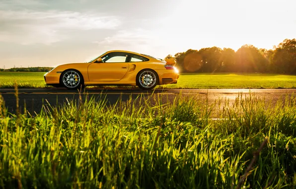 Picture yellow, 911, Porsche, sports car, side, Porsche, 996