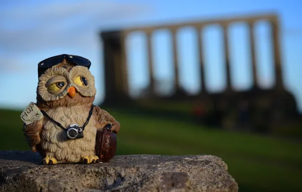 Owl, stone, toy, camera, Scotland, silhouette, Edinburgh, Calton Hill