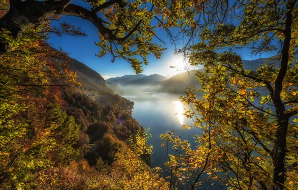 Picture autumn, trees, mountains, branches, lake, Switzerland, Switzerland, Lake Thun