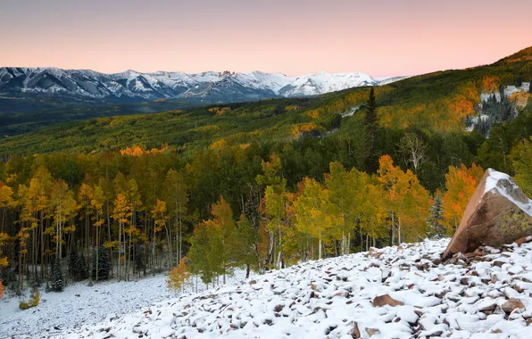 Picture forest, snow, trees, mountains, nature, tops