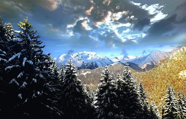 Winter, forest, snow, trees, landscape, mountains, Italy, Lombardy