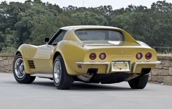 Car, machine, Corvette, Chevrolet, Chevrolet, retro, 1970, back