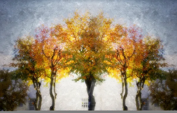 Trees, style, background