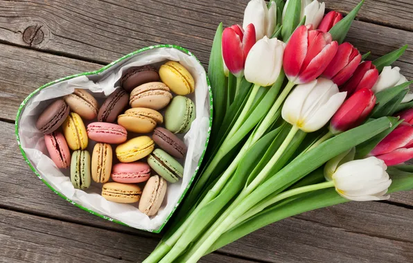 Flowers, gift, bouquet, tulips, red, red, love, white
