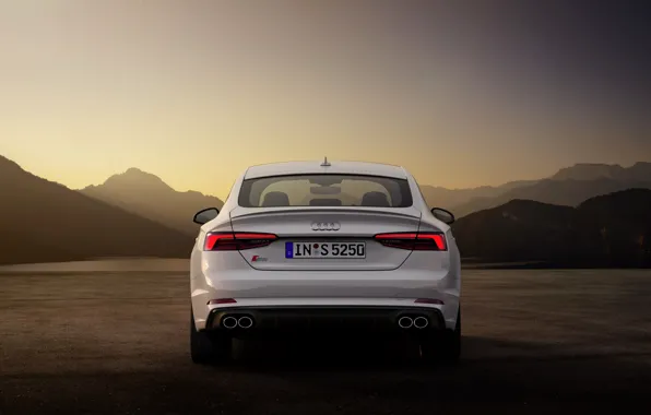 Picture Audi, Audi A5, feed, 2019, S5 Sportback