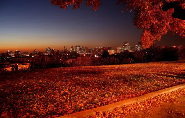 Picture autumn, landscape, nature, photo, the evening