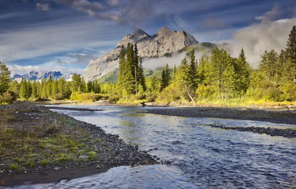 Wallpaper trees, mountains, nature, river