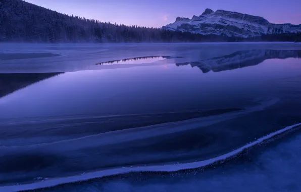 Picture forest, mountains, lake, morning, Ice, Blue Morning