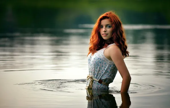 Redhead, in the water, Ira