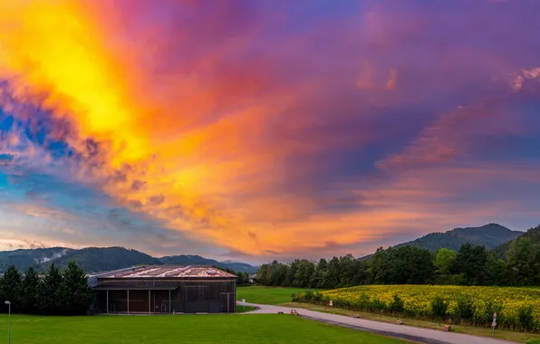 Picture sky, landscape, nature, sunset