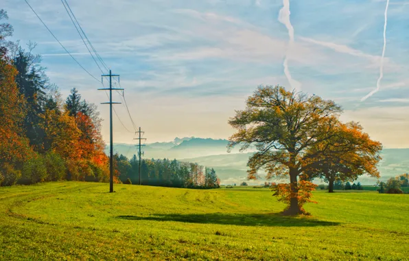 Field, autumn, forest, mountains, nature, fog, tree