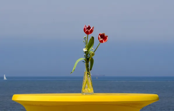 Picture sea, flowers, yacht, horizon, tulips, sail, vase