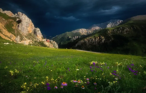 Field, flowers, mountains, clouds, meadow, temple, gloomy sky