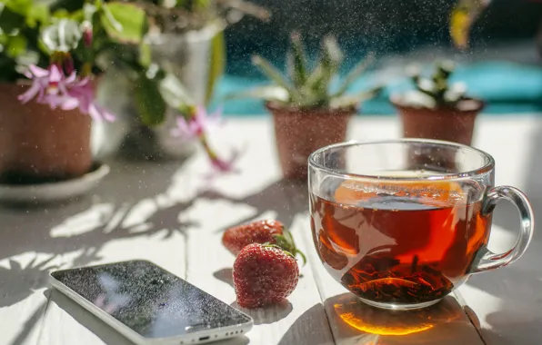 Glass, light, flowers, berries, table, tea, Board, strawberry