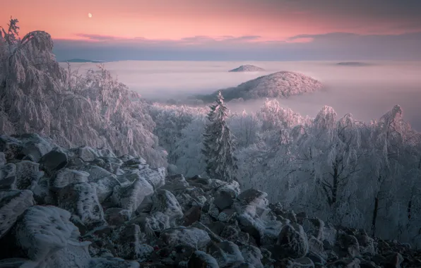 Picture winter, frost, clouds, snow, trees, landscape, sunset, mountains