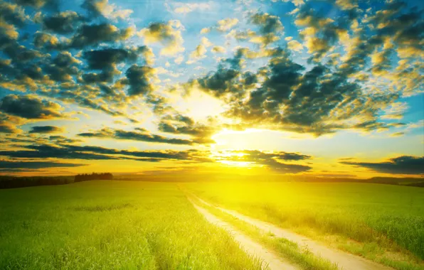Road, field, the sky, the sun, clouds, landscape, horizon, meadow