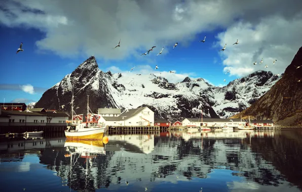 Picture winter, the sky, water, clouds, snow, mountains, birds, reflection