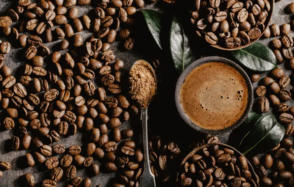 Leaves, table, coffee, spoon, mug, Cup, Cup, sugar