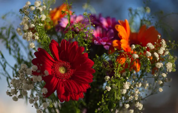 Flowers, holiday, bouquet, spring