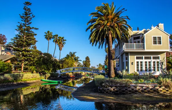 Bridge, palm trees, home, CA, USA, river