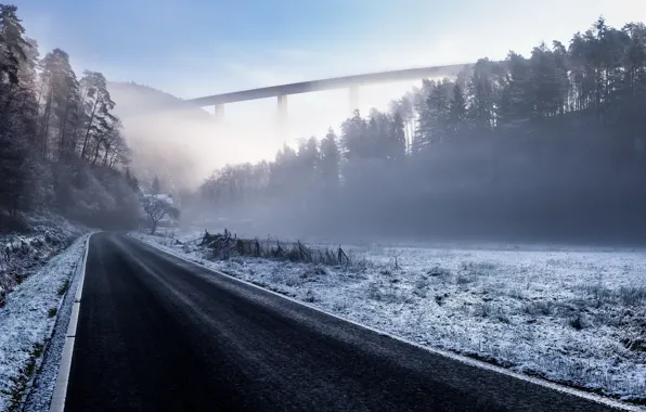 Winter, road, fog