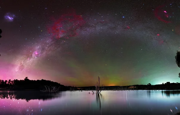 Forest, space, stars, night, lake, reflection, tree, shore