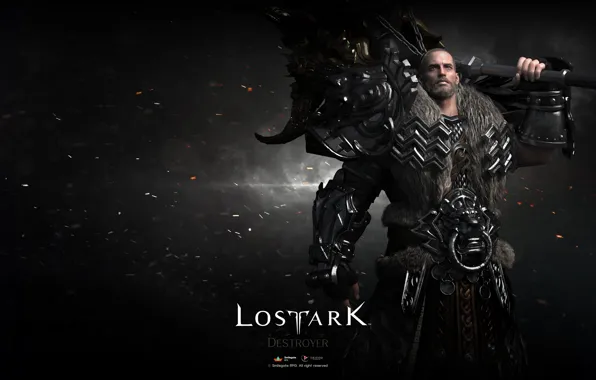Picture weapons, warrior, the game, Lost Ark, guy