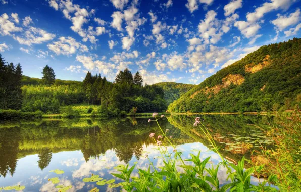 Clouds, trees, lake