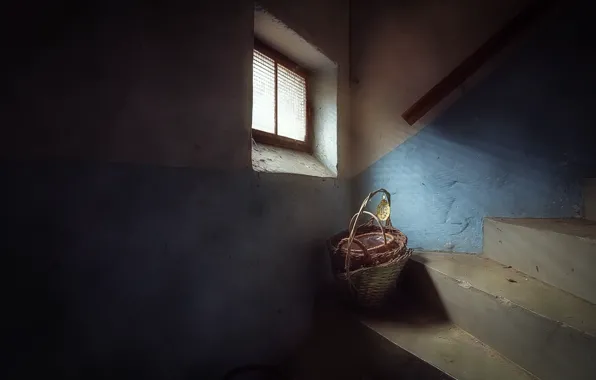 Basket, ladder, the basement, naturalism
