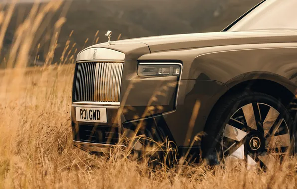 Rolls-Royce, Rolls-Royce Cullinan, 2024