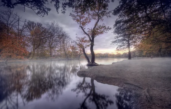 Autumn, nature, river, shore, contemplative