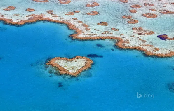 Sea, the ocean, heart, corals, reef