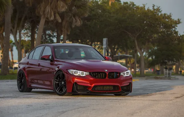 Picture BMW, Evening, RED, Sight, F81