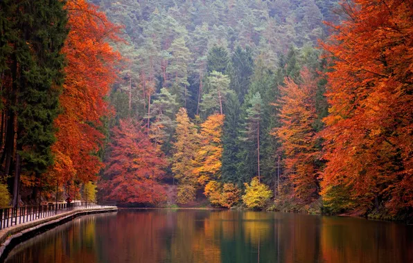 Autumn, forest, trees, mountains, lake, Park, Germany, Saxon Switzerland National Park