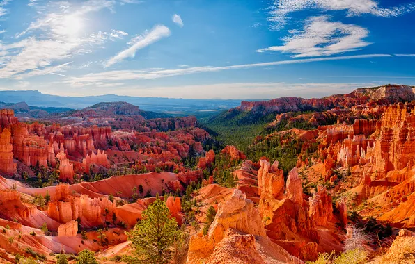 Forest, the sky, clouds, mountains, blue, rocks, view, height