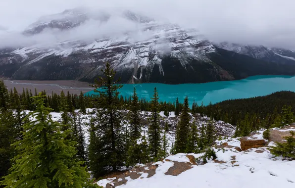 Picture winter, forest, snow, landscape, mountains, nature, lake, shore