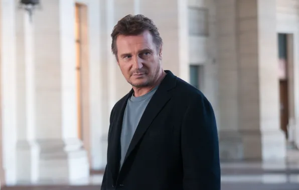 Actor, Liam Neeson, Third Person, Third person