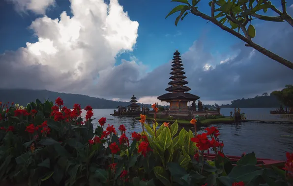 Clouds, landscape, flowers, branches, lake, hills, shore, Bali