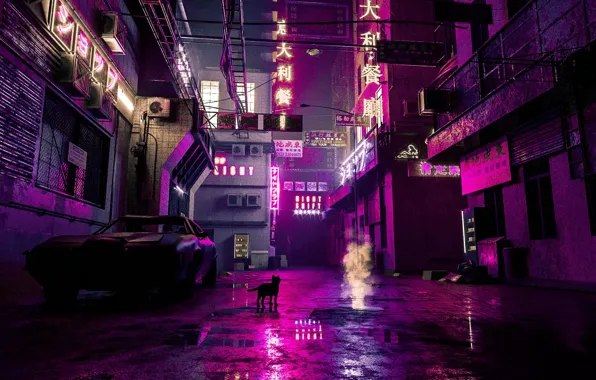 Auto, Night, The city, Cat, Machine, Style, 80s, Style