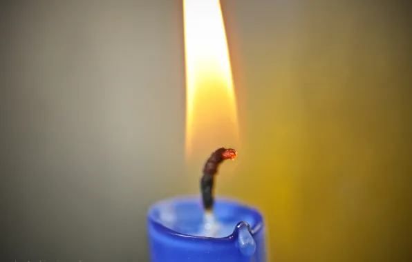Picture Fire, Candle, Flame, Wick