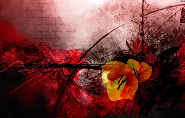 Picture flowers, abstraction, Wallpaper