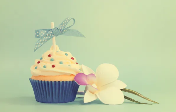 Picture flower, bow, cream, Orchid, cupcake, powder
