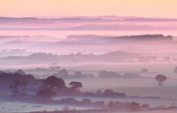 Field, landscape, fog