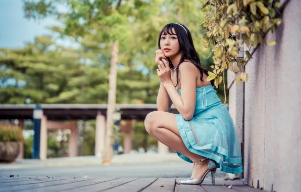 Picture look, dress, brunette, Asian, bokeh