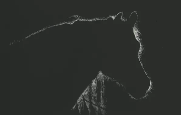 Horse, silhouette, by shonechacko