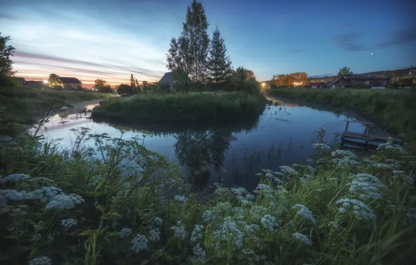 Flowers, night, lights, lake, shore, village, houses, twilight