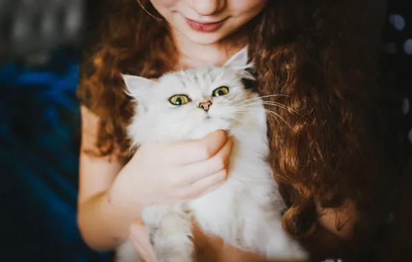 Picture white, cat, girl, looks